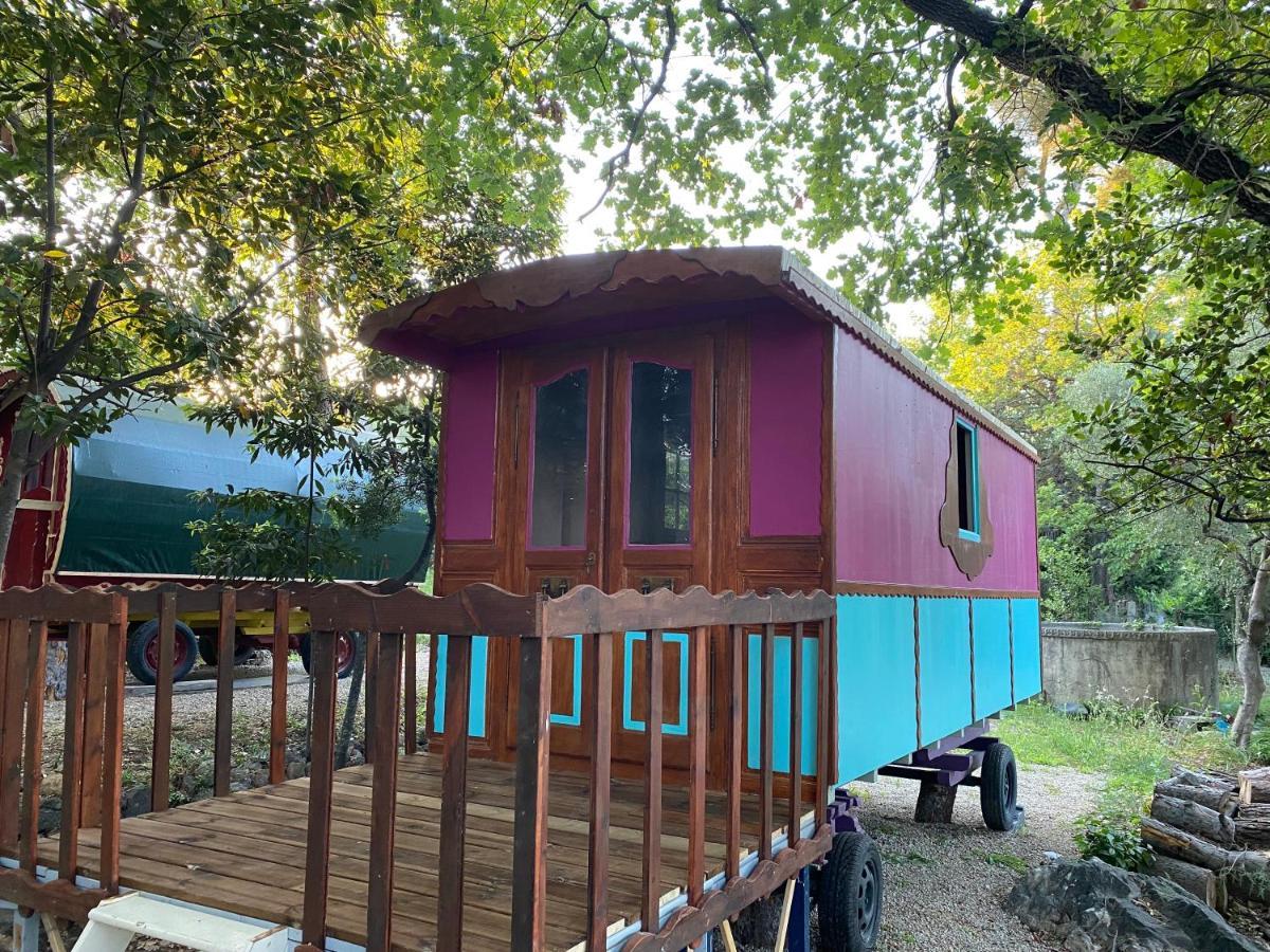 Les Roulottes De Bayama - Insolite Avec Jacuzzi Lodge